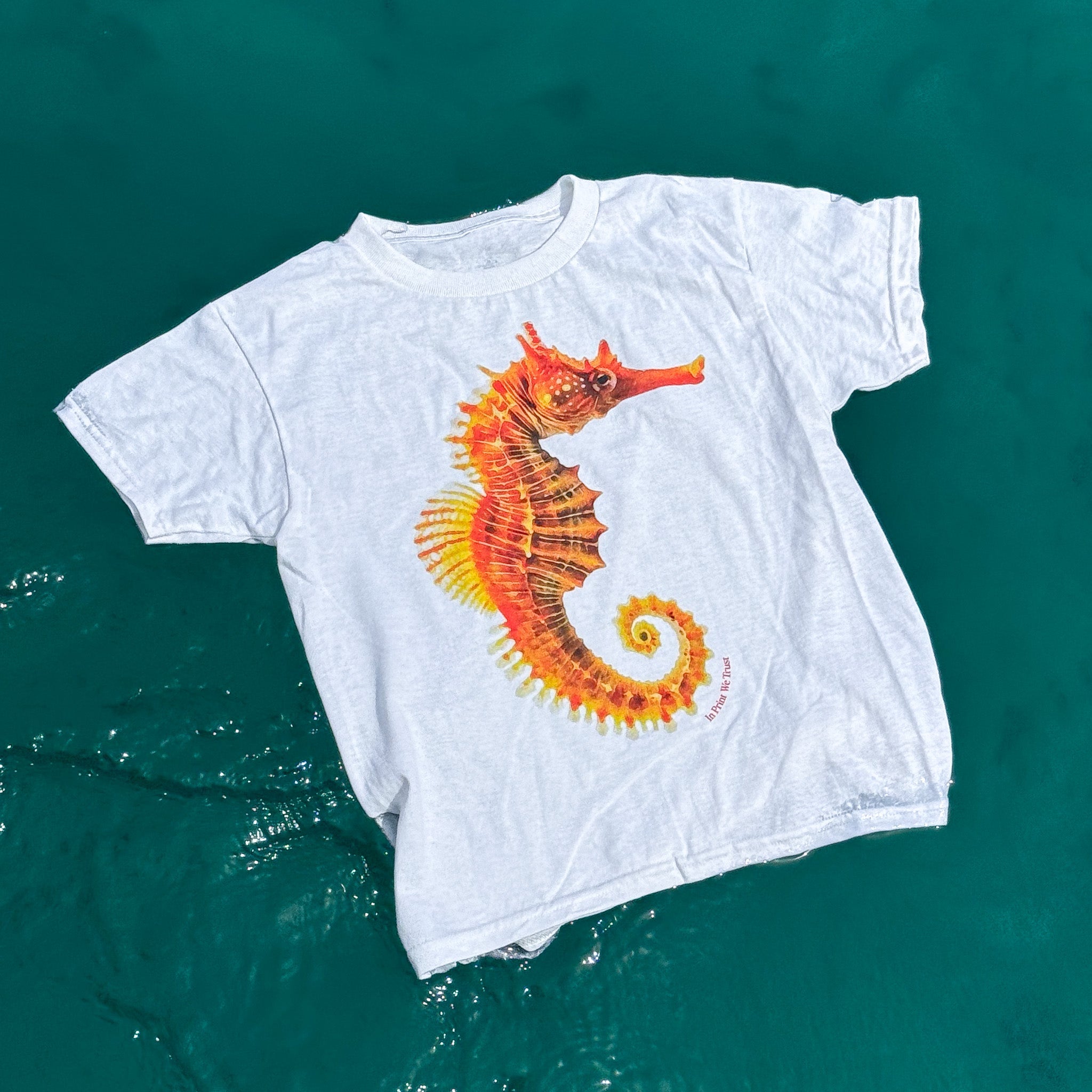 'Seahorse' premium baby tee - In Print We Trust