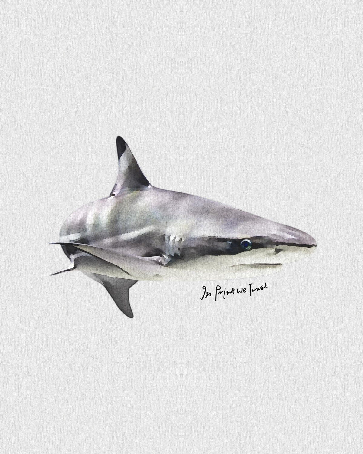 shark heavyweight tee - In Print We Trust