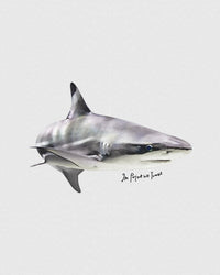 shark heavyweight tee - In Print We Trust