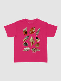 shells baby tee - In Print We Trust