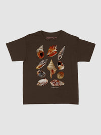 shells baby tee - In Print We Trust