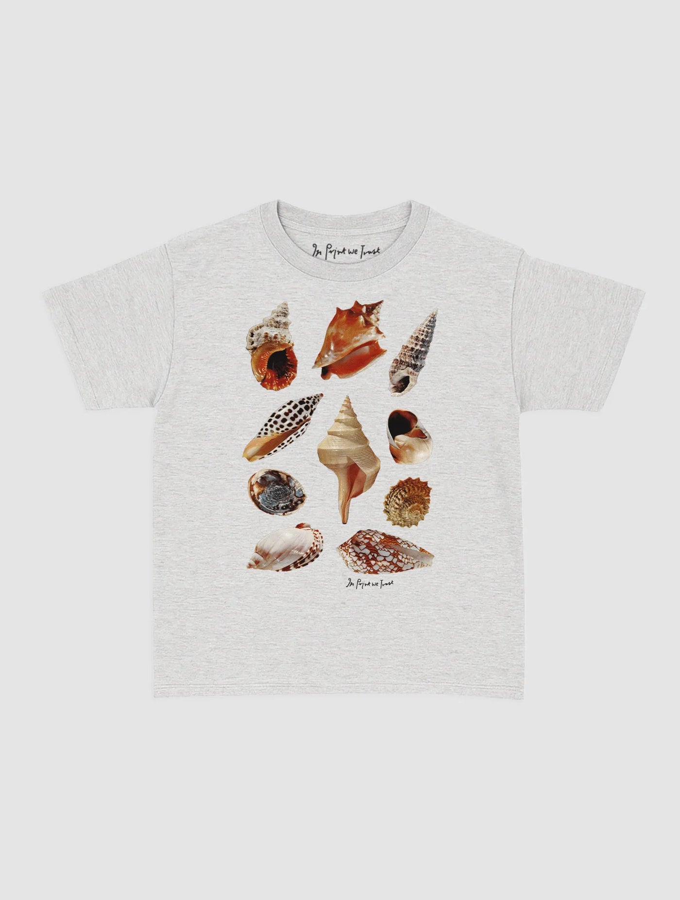 shells baby tee - In Print We Trust