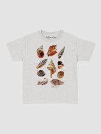 shells baby tee - In Print We Trust