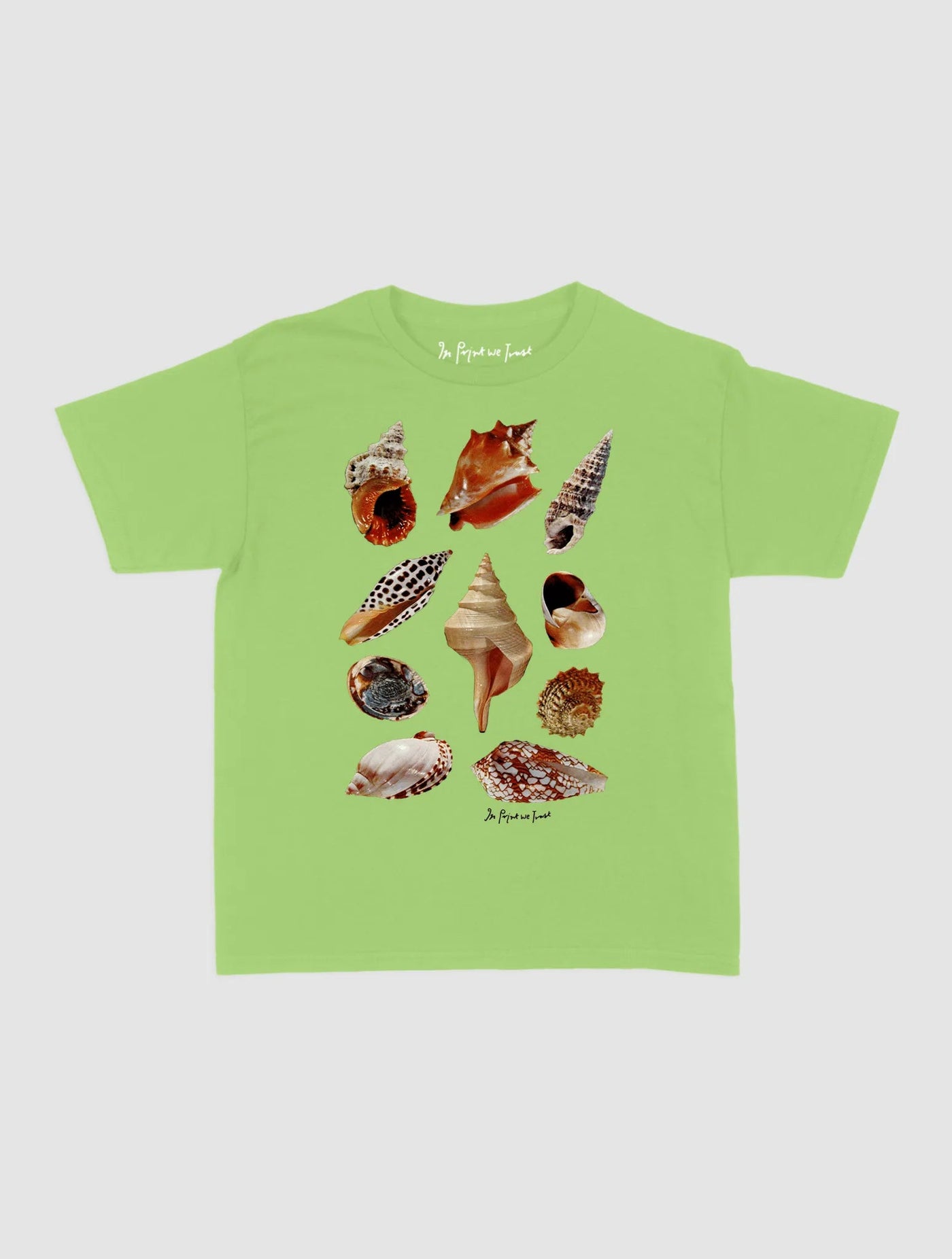 shells baby tee - In Print We Trust