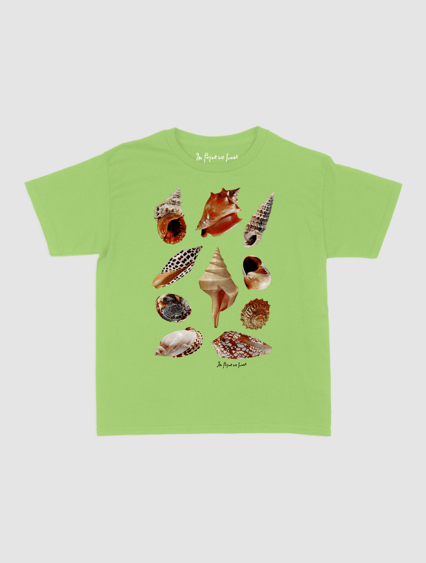 shells baby tee - In Print We Trust