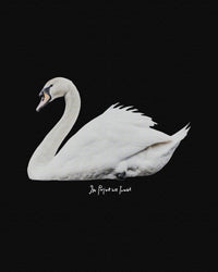 swan song heavyweight tee