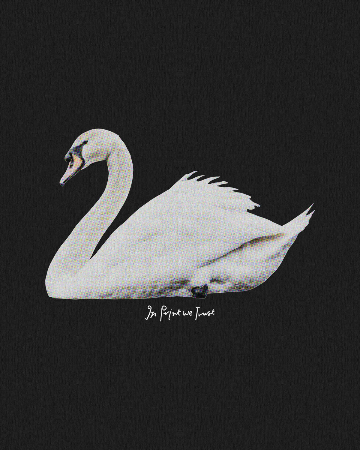 swan song baby tee