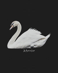swan song baby tee