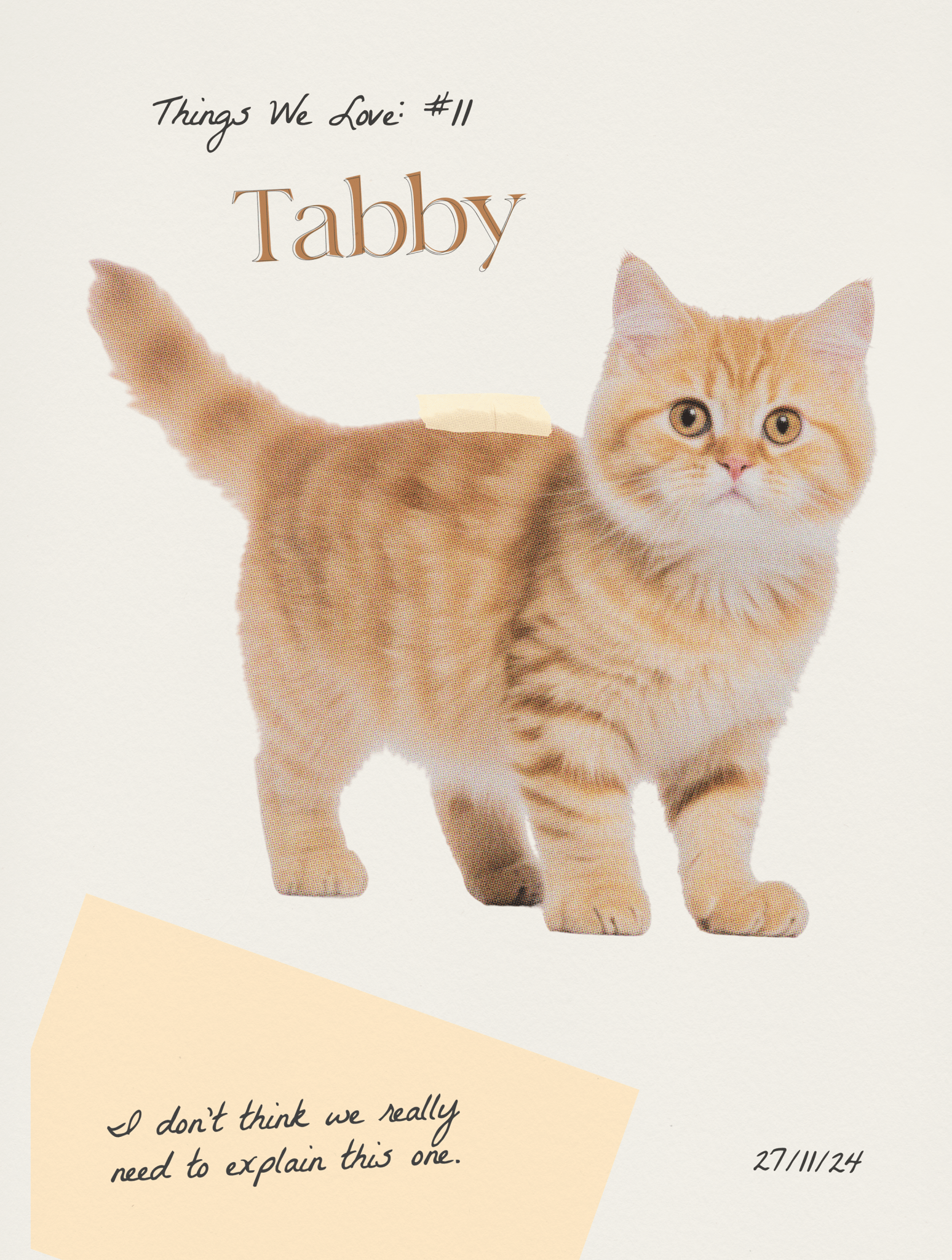 tabby baby tee - In Print We Trust