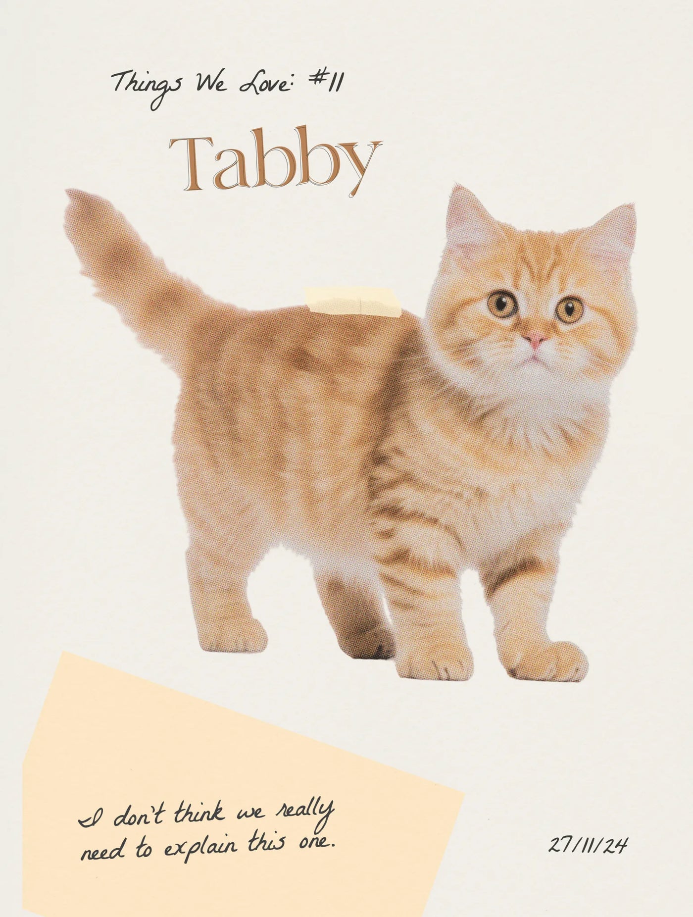 tabby baby tee - In Print We Trust