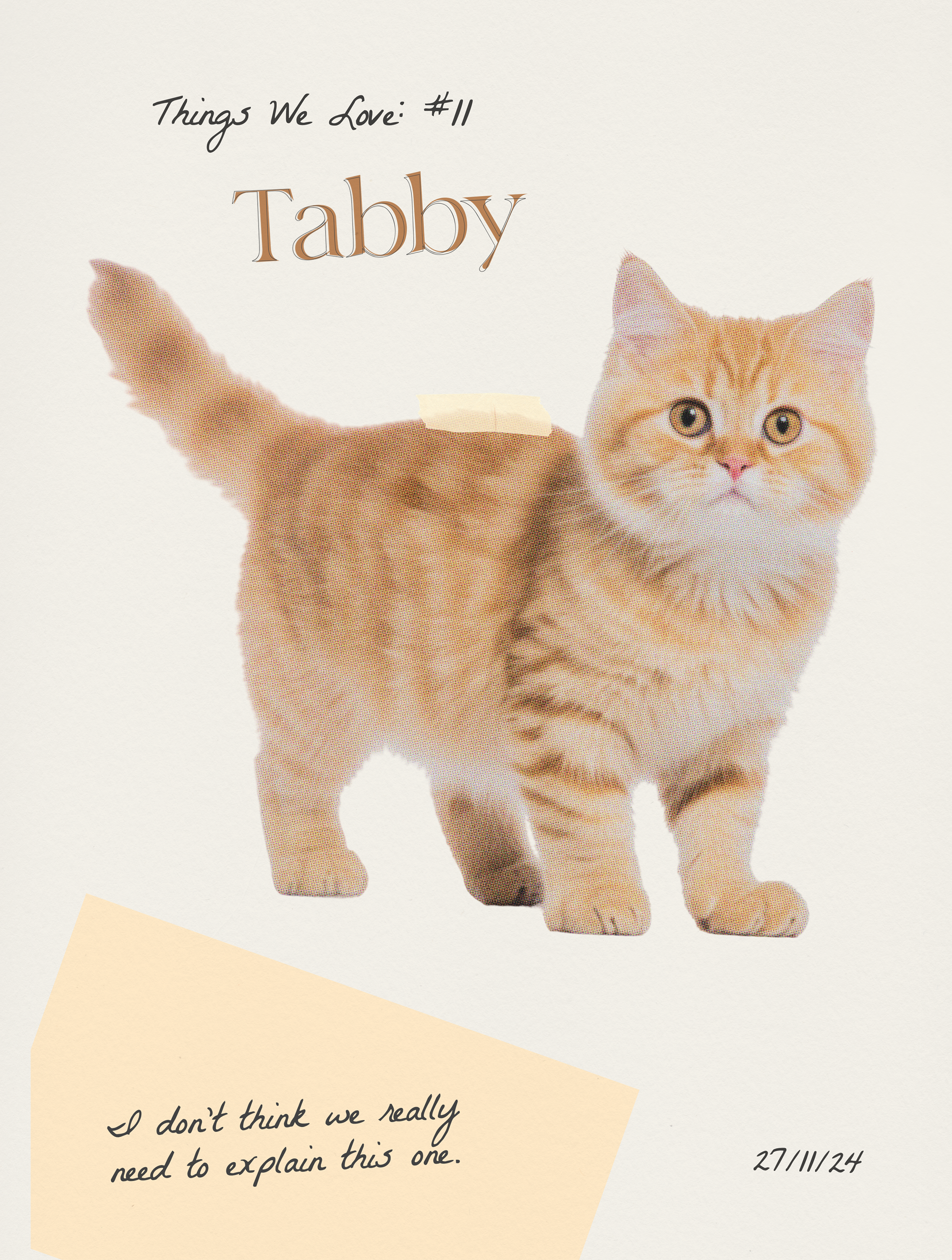 tabby baby tee