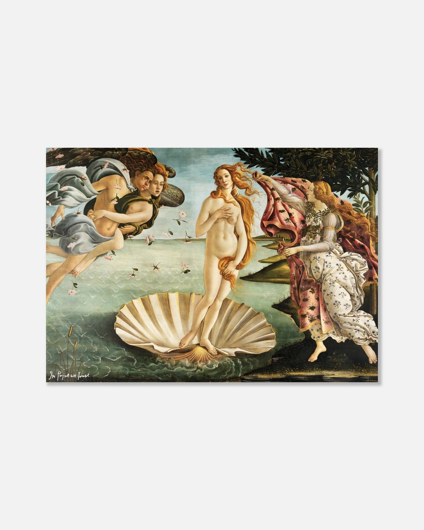 venus poster print - In Print We Trust