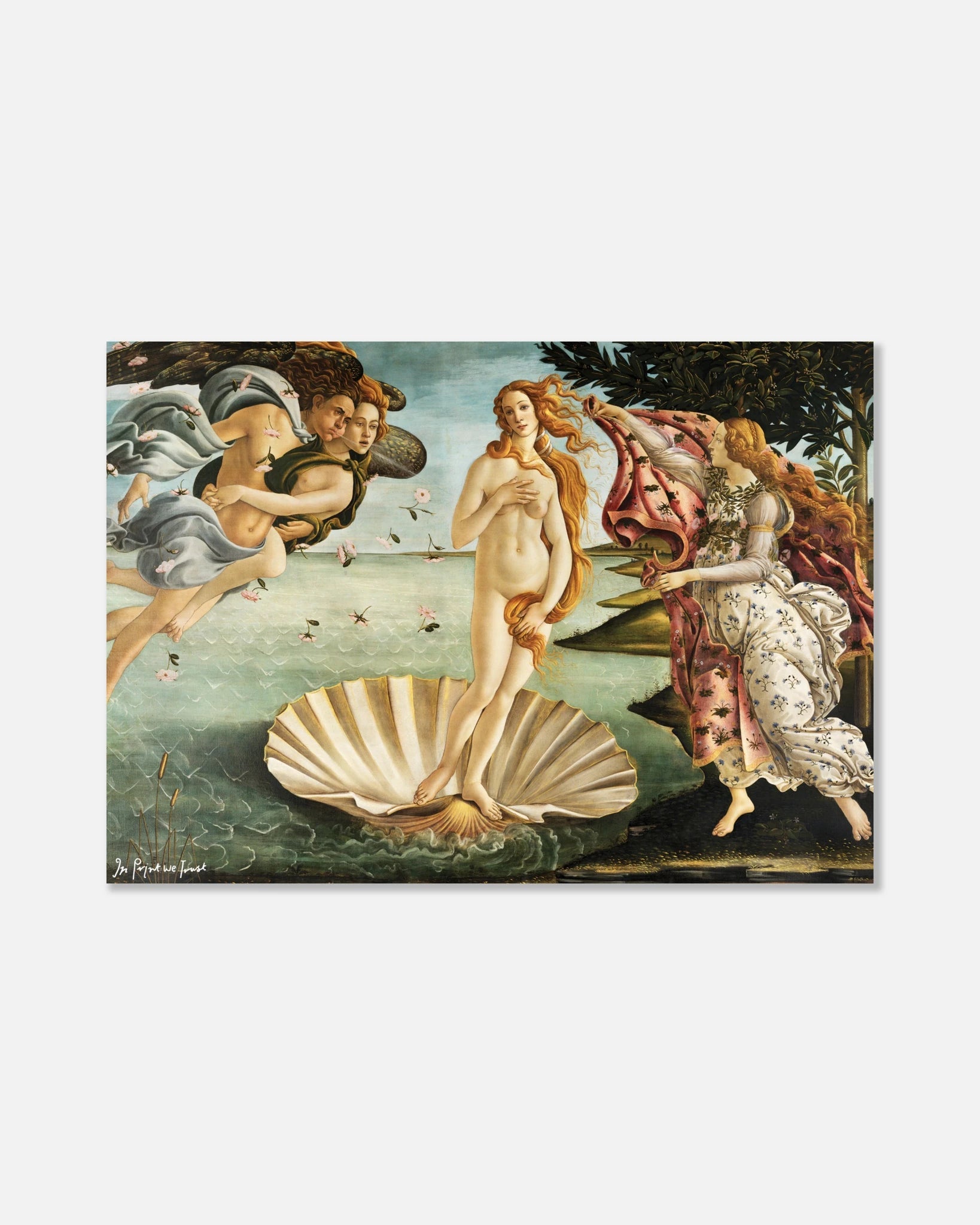 venus poster print - In Print We Trust