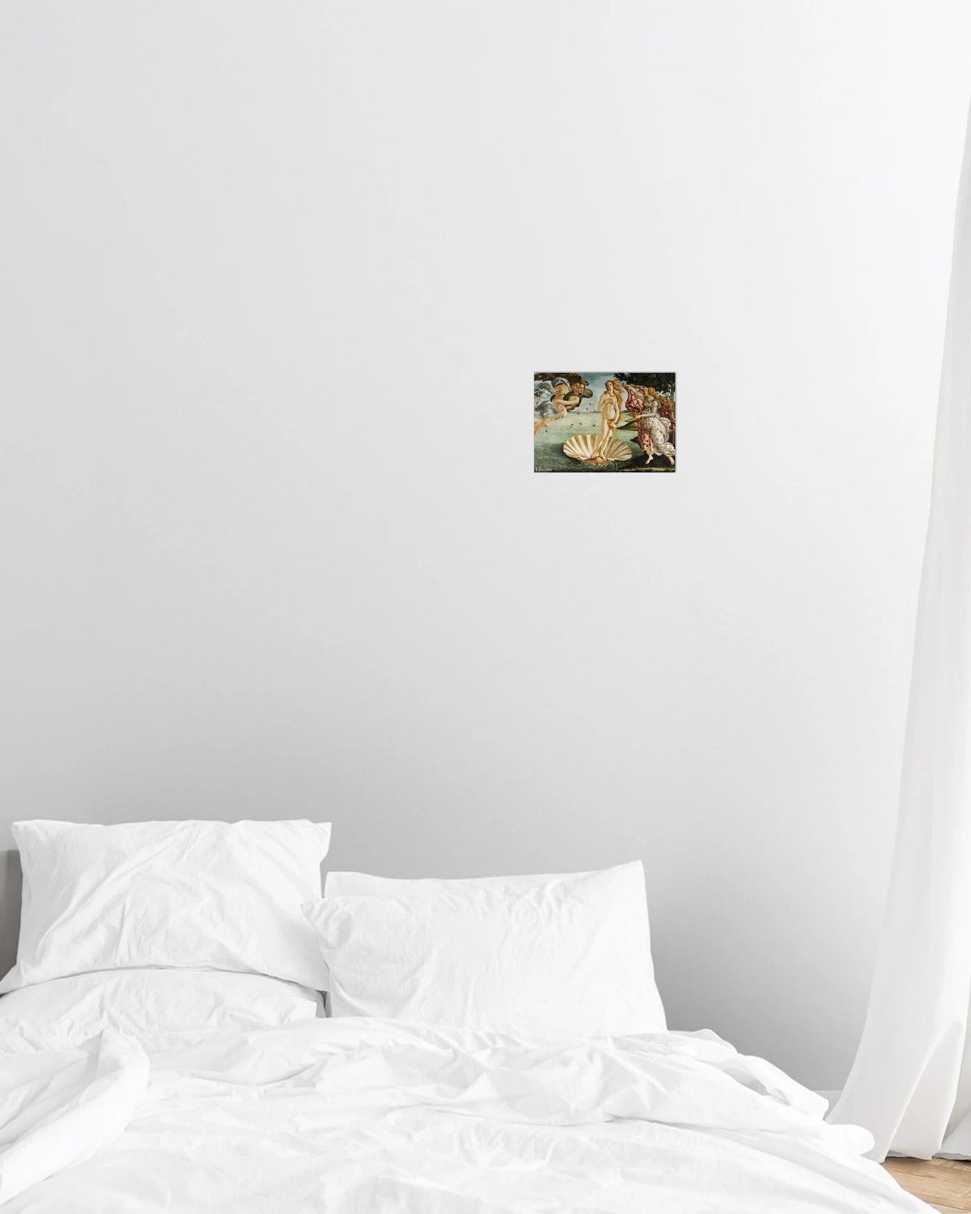 venus poster print - In Print We Trust