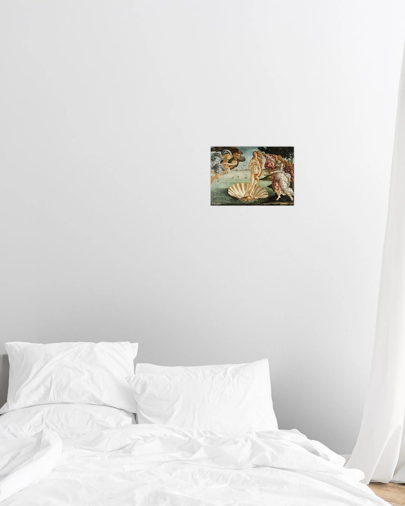 venus poster print - In Print We Trust