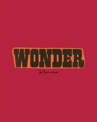wonder baby tee